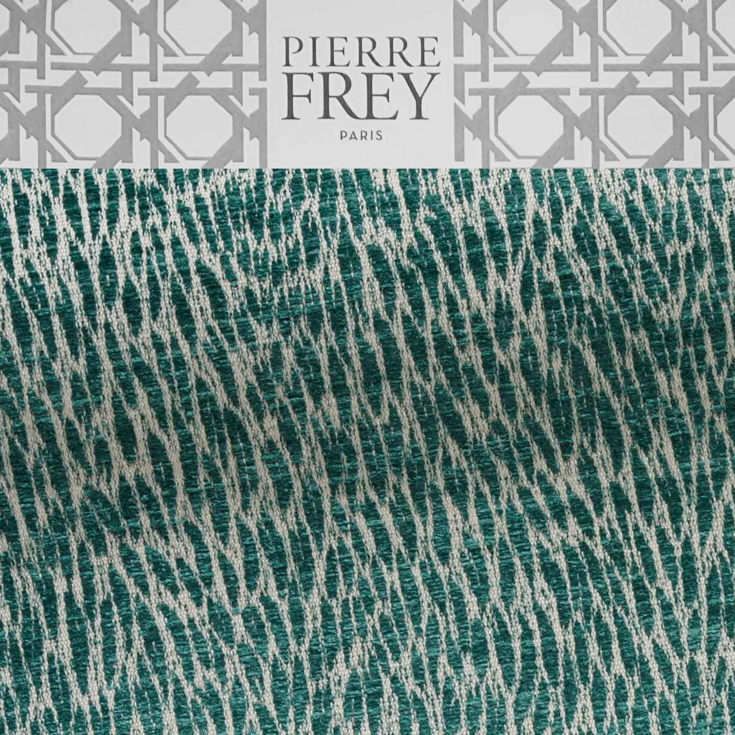 Carmen Colette The Pierre Frey House