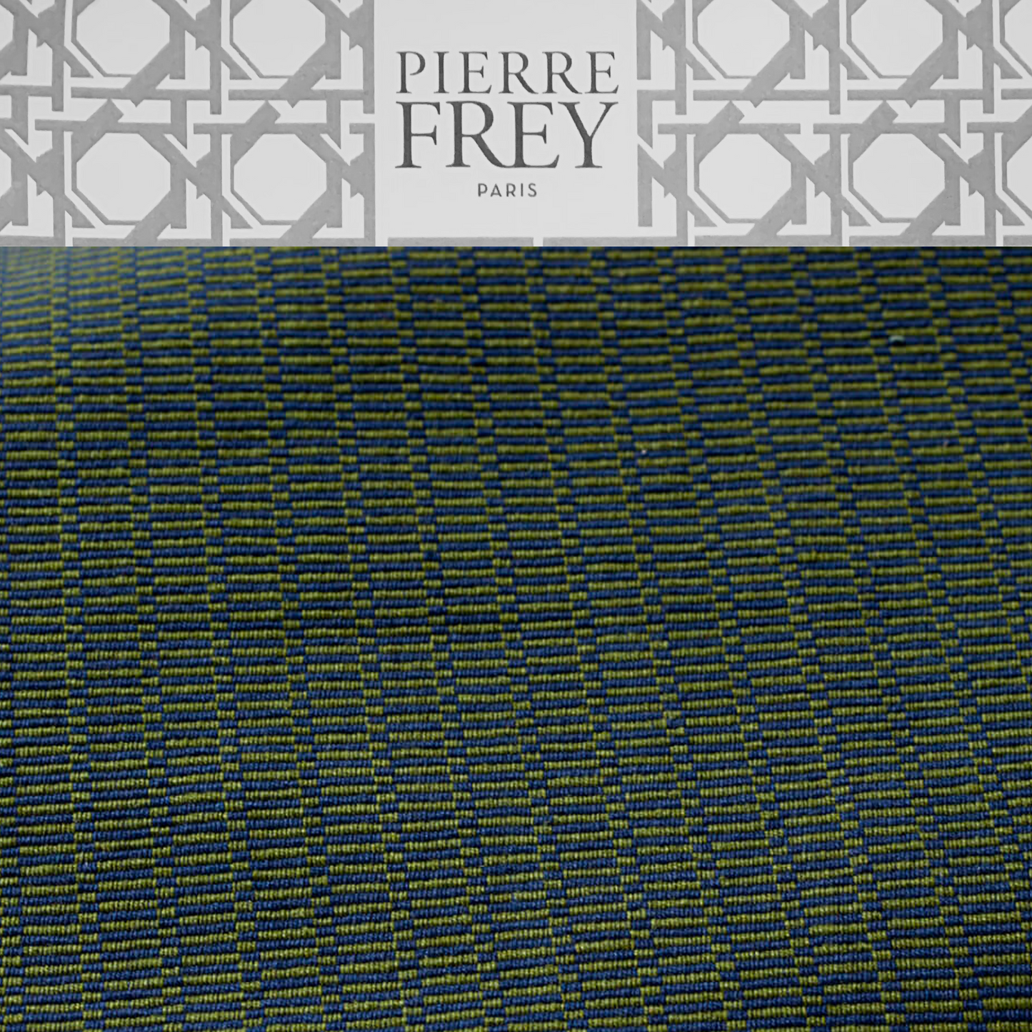 Apollo Orpheus The Pierre Frey House